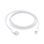 Apple  Lightning cable