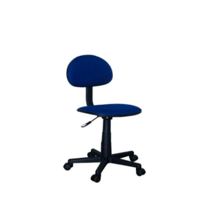 Computer Chair (Blue)